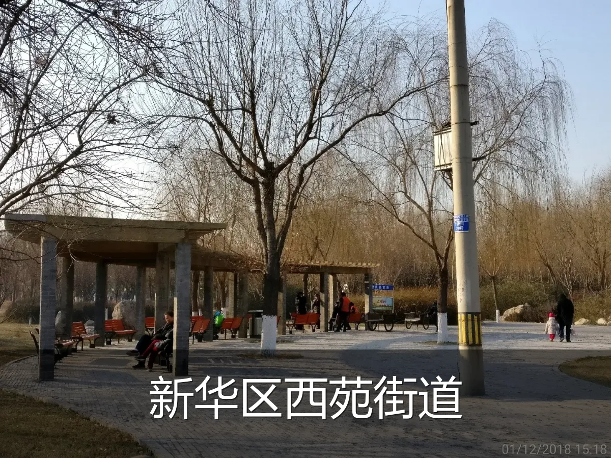 新华区西苑街道