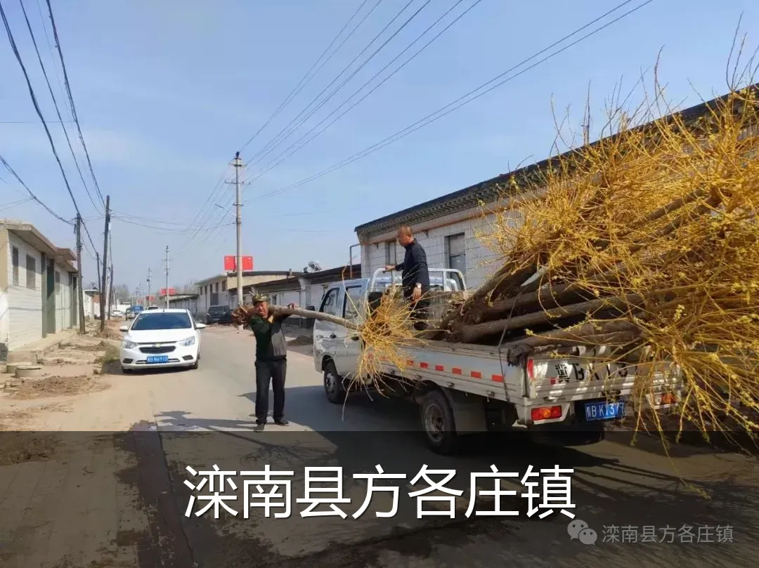 滦南县方各庄镇