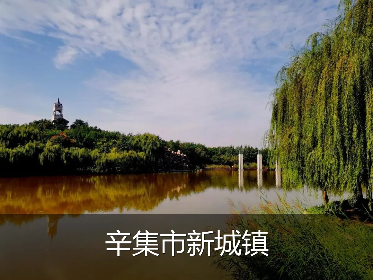 辛集市新城镇