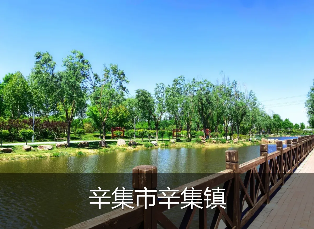 辛集市辛集镇