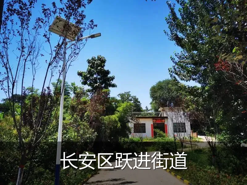 长安区跃进街道