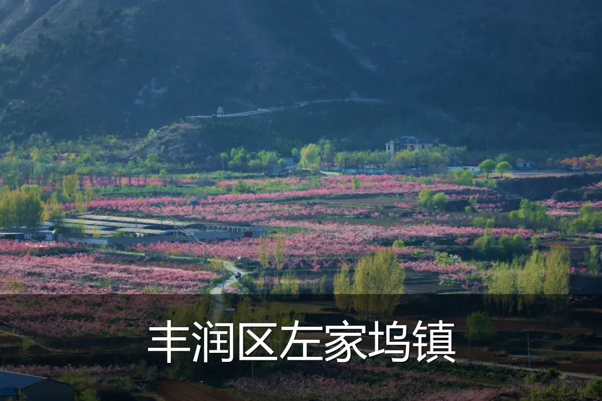 丰润区左家坞镇