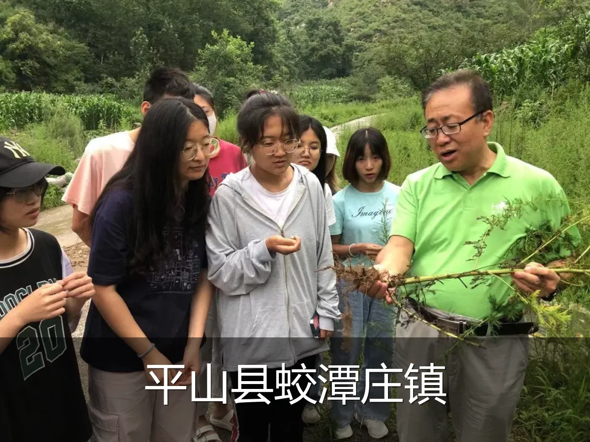平山县蛟潭庄镇