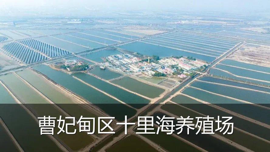 曹妃甸区十里海养殖场