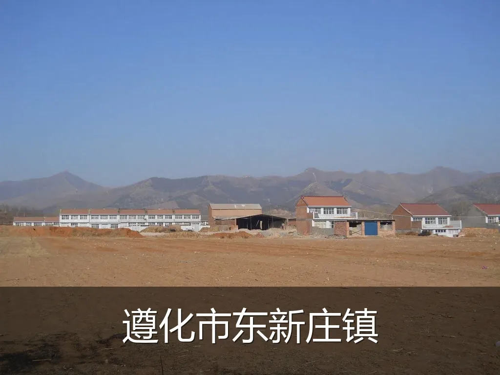 遵化市东新庄镇