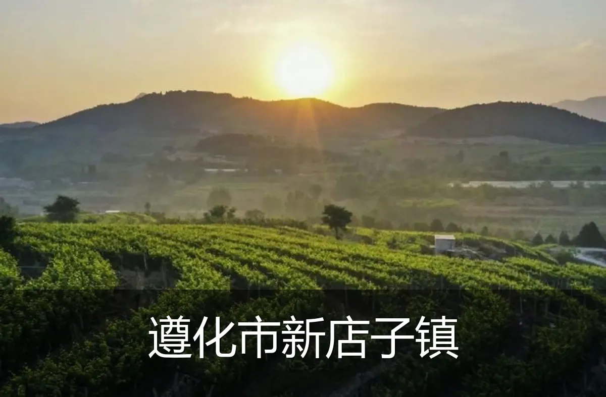 遵化市新店子镇
